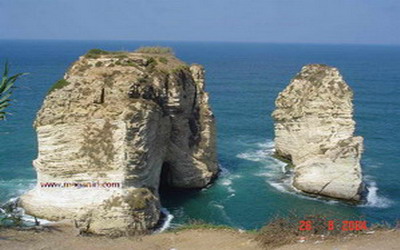 صورة «طواويس عاشقة12»