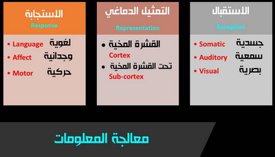 الطب العصبي النفسي للفصام