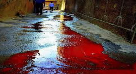 صورة «عروسة الزعتر»